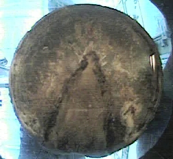 FloorViewTree.jpg