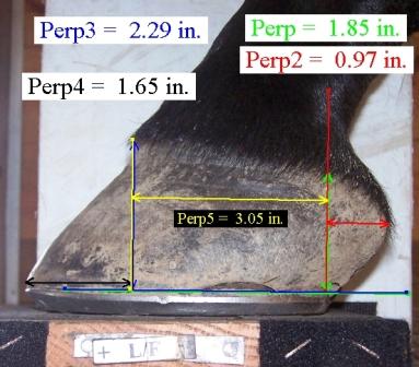 MetronImage10compressed.jpg