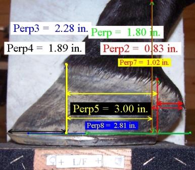 MetronImage11compressed.jpg